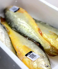 ̨������������ס���������Щ�������Ŷ�ζ~