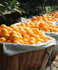 ̨������������ס���������Щ�������Ŷ�ζ~