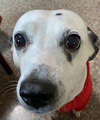 Ȣһ�Ͷ����Դ�������