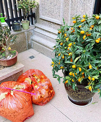 ���Ǽ�л�꿪ʼ����