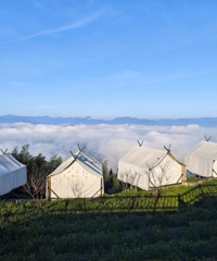 ���ϴ�ת��̨�ݽ�����һ�ܣ�����Ϣ��...