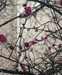 ���ϴ�ת��̨�ݽ�����һ�ܣ�����Ϣ��...