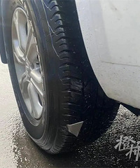 �㽭������50������������̥�����꿪���ؼ�,С������"��ʱը��"