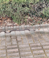 �����Ϊʲô�����߰���