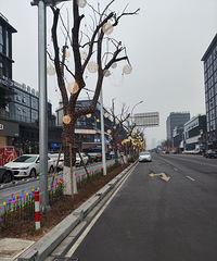 ̨����״���ֺ�����