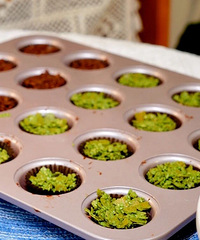 ������ô�򵥣�ԭ����ô���ˣ���ƾʲô����ô��