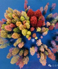 [����]̨���⼸���ط���̫��Ƭ��