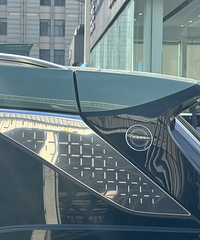 ����ʵ�Ľ�;ɽ��L9