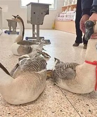 ̨������ѧУ ɢѧʽũ��ζʮ��