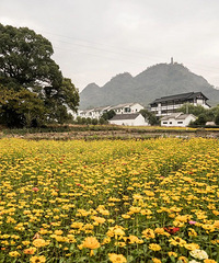 ��3A����֤��̨��5���ϰ�