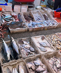 ��ǰ�˳���Ĳ�Ϊʲô����ô��