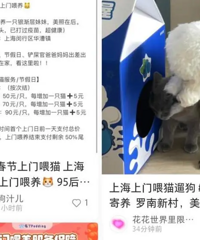 �����ڼ䱬��90�����̶̼���׬5000Ԫ�����ѣ��з���