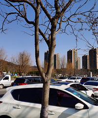 �����һ����㳡��ɽ�˺�