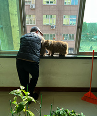 ���������ǲ���ֵ����Ľ