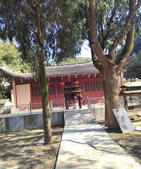 ����ɽ�µ�ľ��ɽ������·����߷��ʿ��