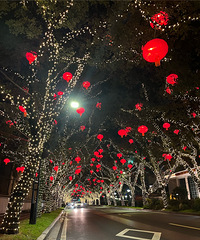 ���������ռǣ���ϲ����΢��Ϲ����ģ������ۼ�Ϊʵ��