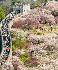 ���������ƣ����³�������