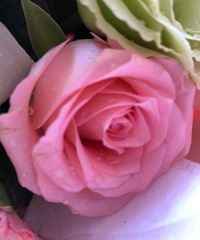 83����ҵ��λŮ�����첻����������������ϣ���з�170����