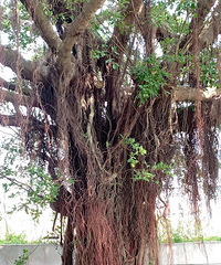 �����̨����������������һ�����ĸ�������