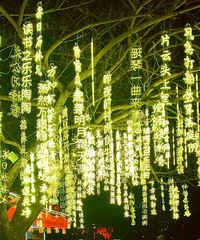 �������ɡ��΢�ح���ɾӡ��Ļ���Դ��