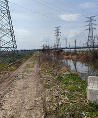 ������������ܹ��⼸�����һ���ĵ����˾����Ϊ��