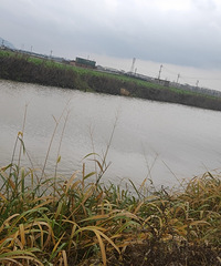 ������������ܹ��⼸�����һ���ĵ����˾����Ϊ��