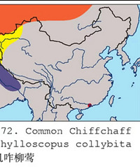 ������̨�������׸��������ˣ�