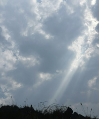 ����������