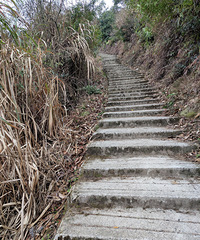 Ѿ���ң���������ѽ������û�о�;��