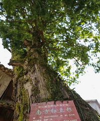 ���պ�ȥ�������������������ѡȫʡ���أ�