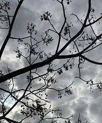 ��ȷ�ˣ������ת��̨���ˣ������Ⲩ�е��ף�