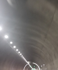 ����������Ϊʲô���������Ƿ��