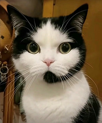 ���۸��᡿�����ȫ�����εĴ�����ȥ�������ˣ�