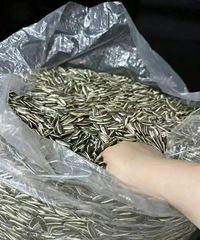 ������21���ϼҰ��ԣ��ŷ�����������ñ��һ�