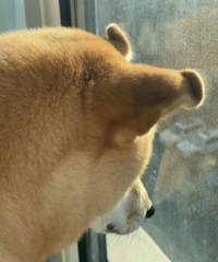 Ů�������ʲô�Ϸ����ҷ������Ϸ���ǰ���£��������ˣ�