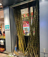 ��Ҿ�������̨�ݵ������ô����