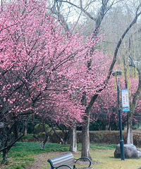 [����]���յĵ�һ�����£���÷ȥ��