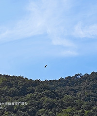 ʱ��30�꣬��̨��ɽ���ٴμ�����ӥ