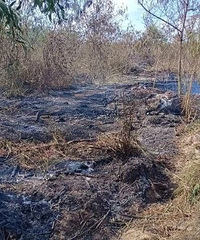 29���й�Ů�ο���̩����Ħ�г����������ס˫������ǿ��