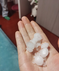 �±����ˣ����꣺���ţ�