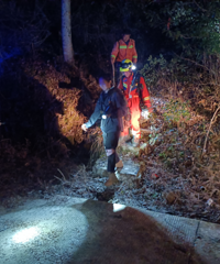 ����Ľ����ɽ���ﻢ���¡���110��119��������