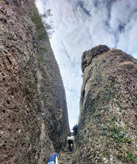 ��2024�μǡ�+��ɽ-Ѿ����-��Ϫ