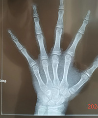 [ר������]����䣬�к����ܳ����٣�