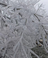 ������̨�ݶ�Ҿ�����ͣ����