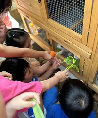 ʡһ���׶�԰����̨+1������Ҹ�����