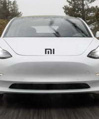 С����������˭�����ң���û����������һȺ����