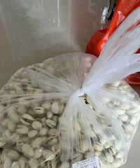 ����б�үү�����ѹ��𾪵�