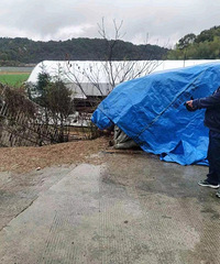 ��������ǵĻ������������������������ݡ�˳��ǣ��