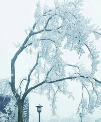 -6.8�棡̨������ȫʡ���䣡�ոգ�Ԥ���������������ܴ̼���