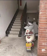 ��ҵĵ綯���г���缰ͣ�Ź淶��